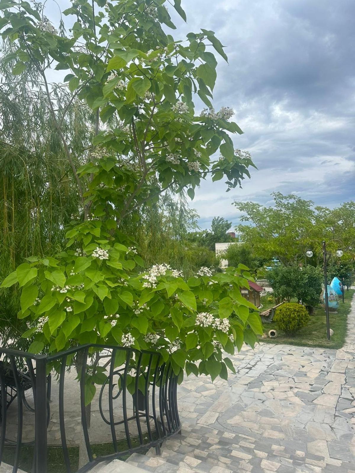 Ralina Restaurant And Hotel Ararat Екстер'єр фото